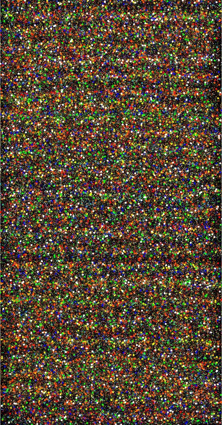 Color Distortion